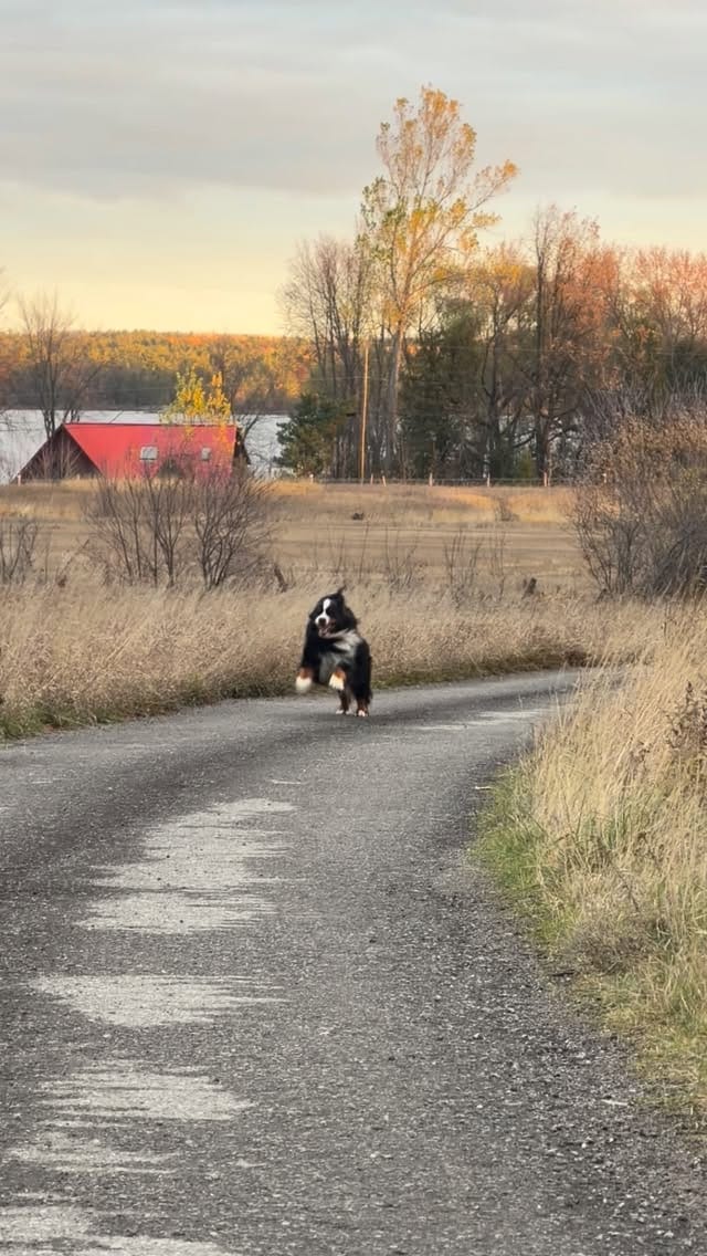 Post 4 by Marc Methot on Instagram (video)