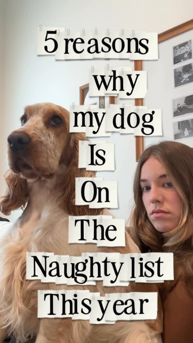 Post 7 by Piper Logan, OLY on Instagram (video)
