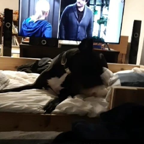 Post 6 by Andy Gray on Instagram (video)