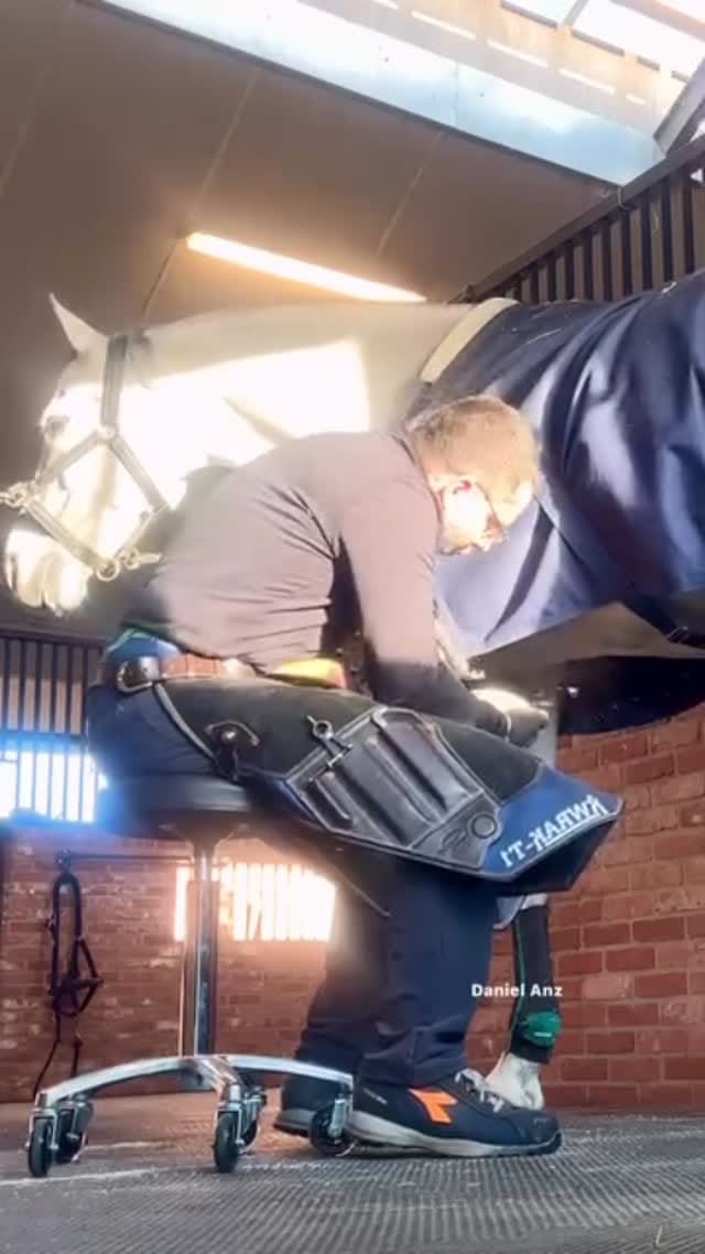 Post 2 by EquiCrown Canada on Instagram (video)