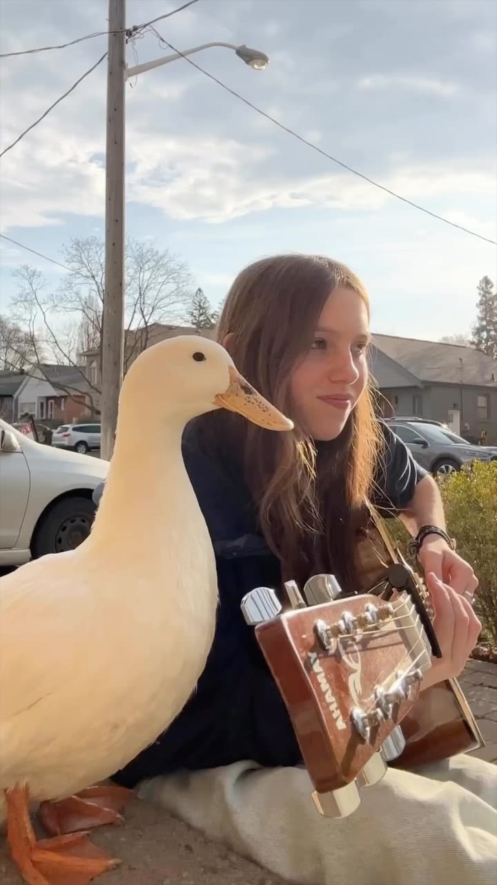 Post 5 by Fay De Fazio Ebert on Instagram (video)