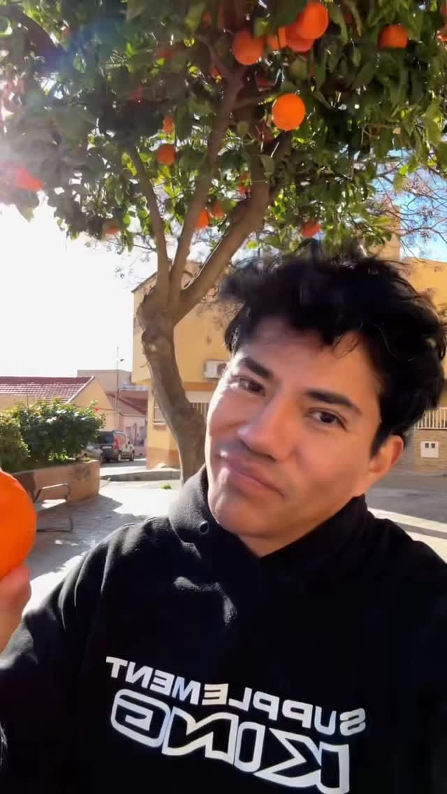 Post 4 by Diego Saul Reyna on Instagram (video)