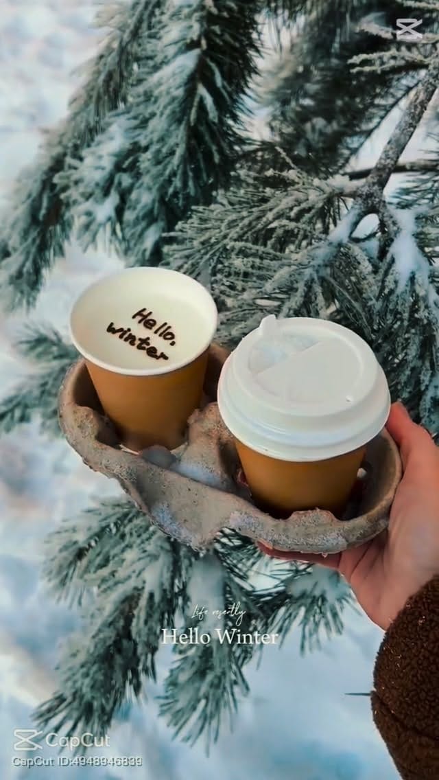Post 4 by Lavia Gheidar on Instagram (video)