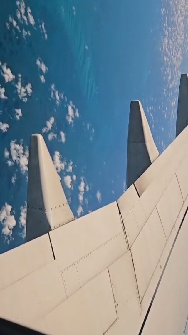 Post 3 by Toni Daley on Instagram (video)