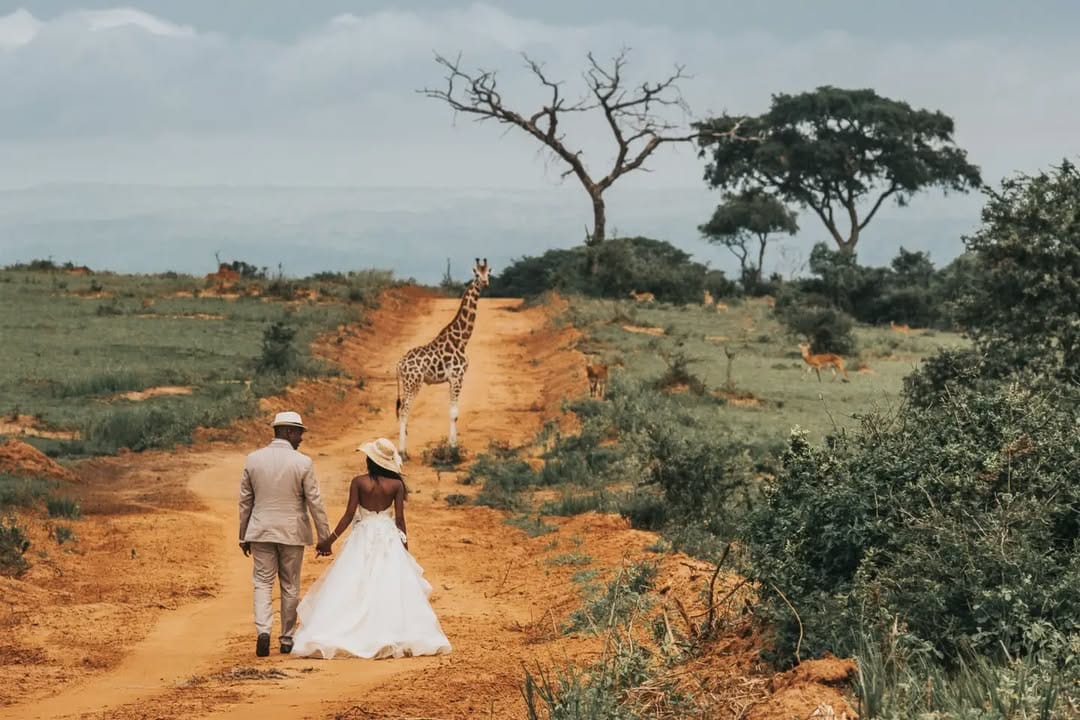 Post 10 by Carey Nash on Instagram (image)