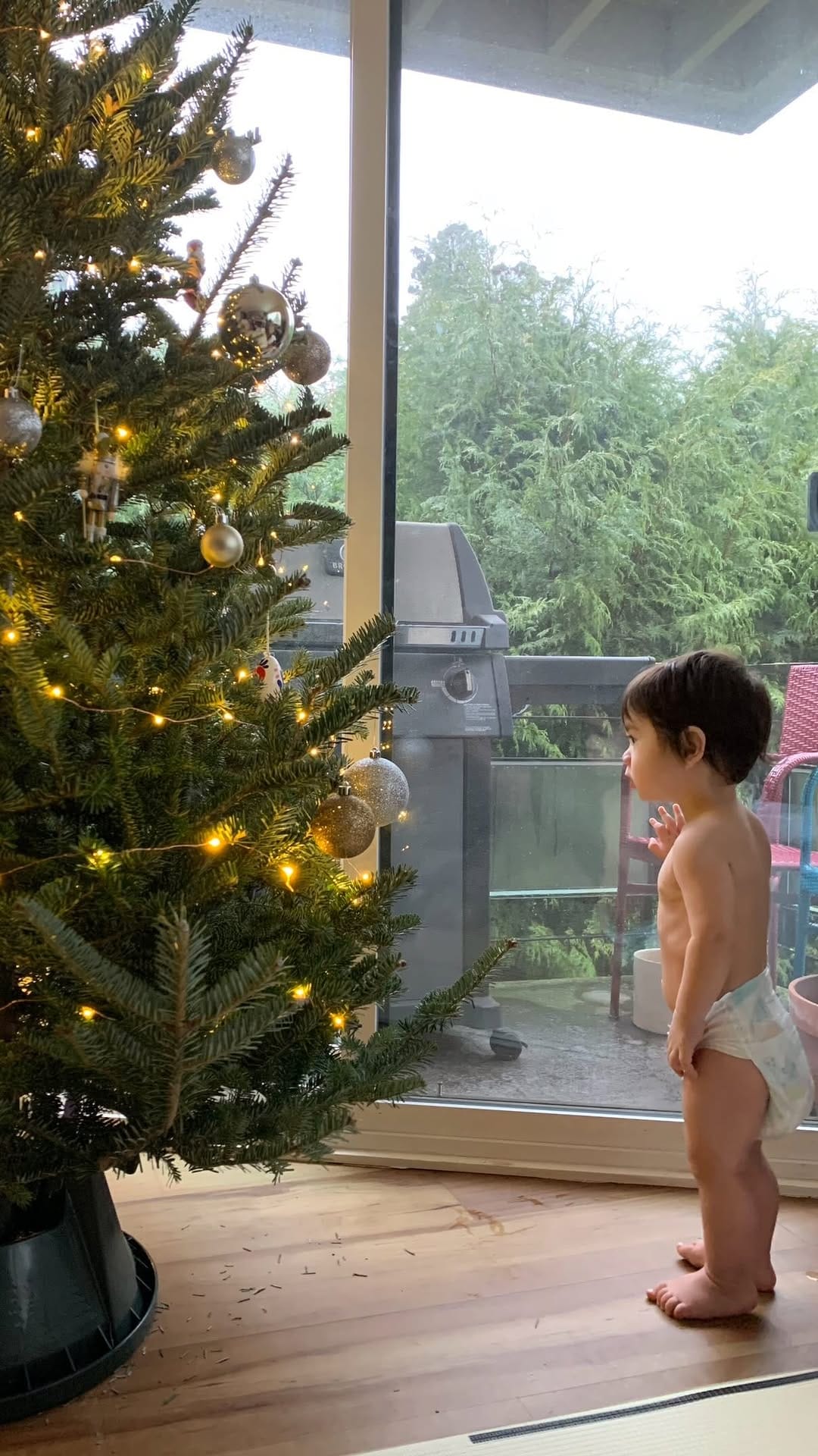Post 7 by Camillia Lee on Instagram (video)