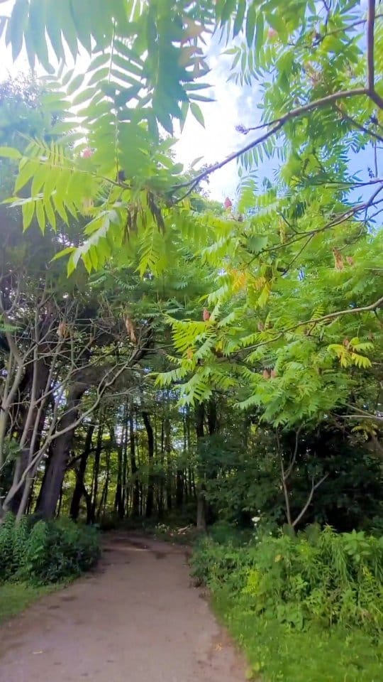 Post 6 by Kristen Aubin on Instagram (video)