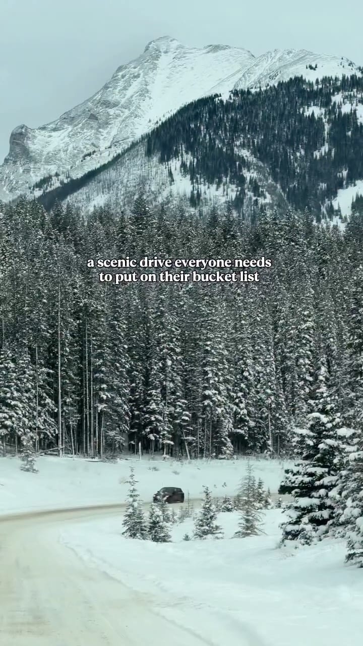 Post 3 by Tasha + Cam | TheBanffBlog on Instagram (video)