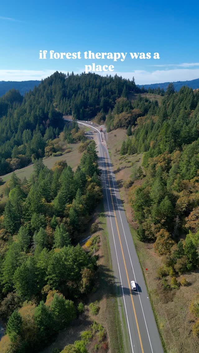 Post 6 by Stephanie | Outdoors, Travel and Adventure on Instagram (video)