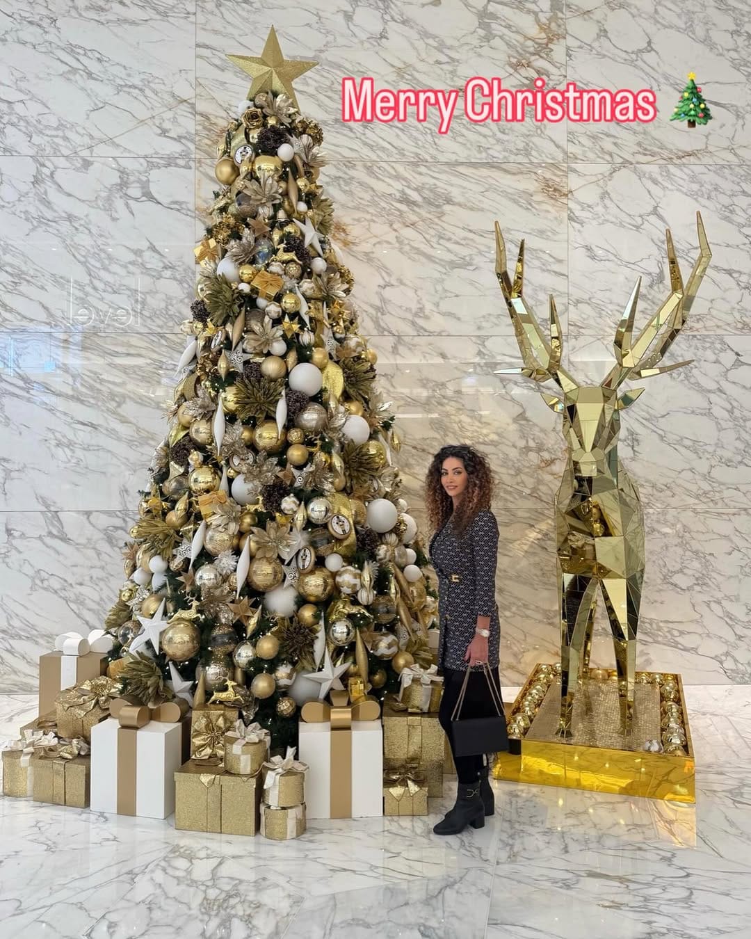 Post 1 by Tammy Masoumi on Instagram (image)