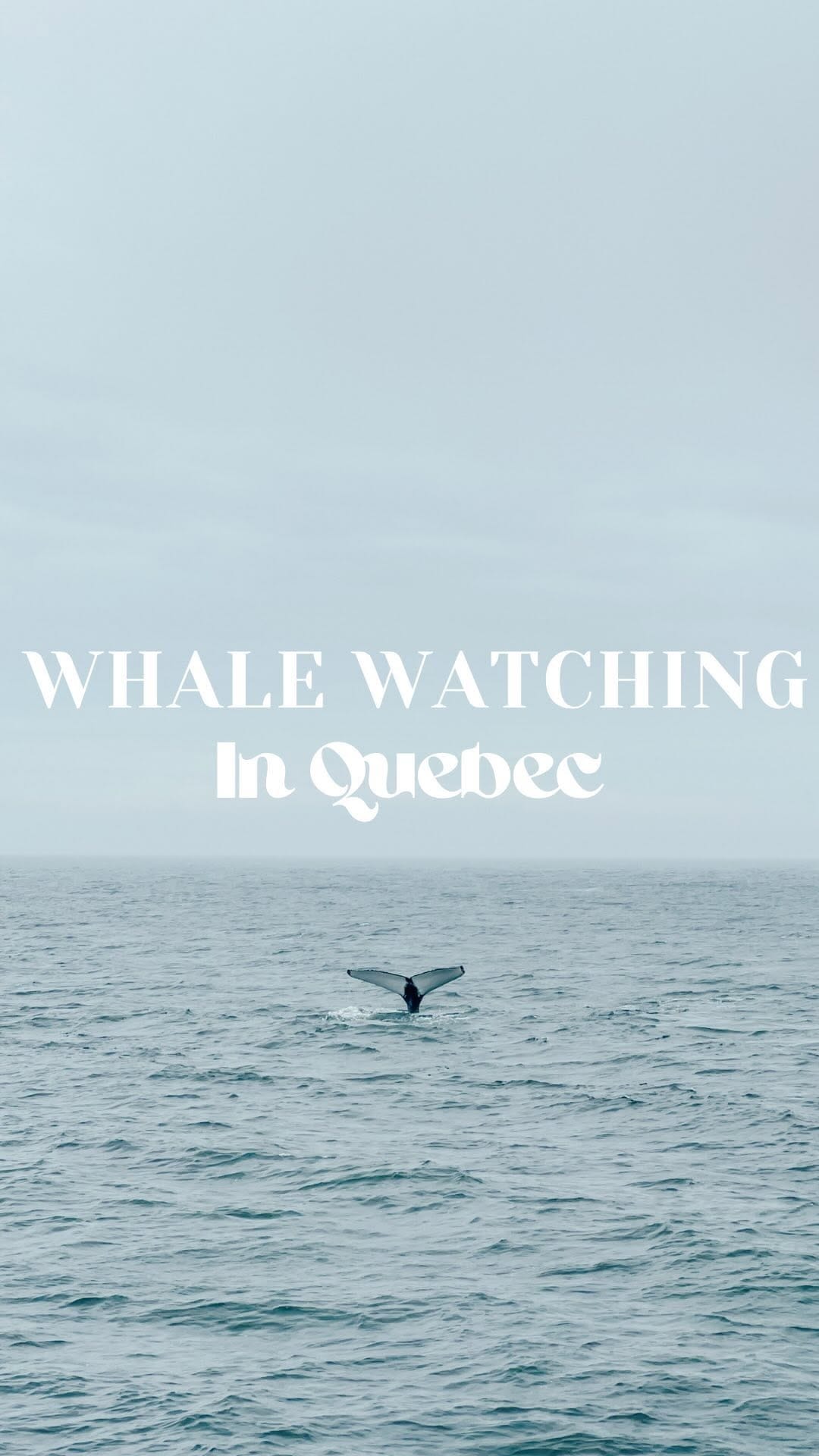 Post 10 by M A R I A M | Motherhood, Lifestyle & Travel🇨🇦 on Instagram (video)
