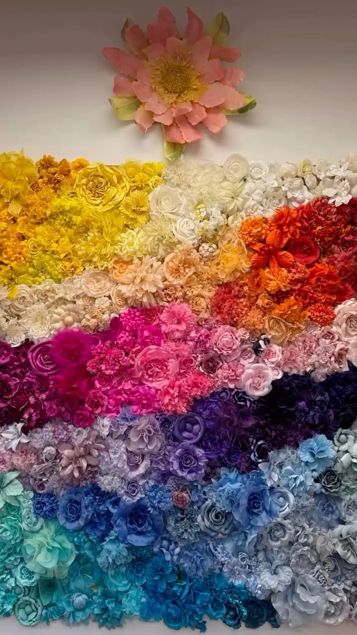 Post 1 by Noelle Halcrow-Stanford on Instagram (video)