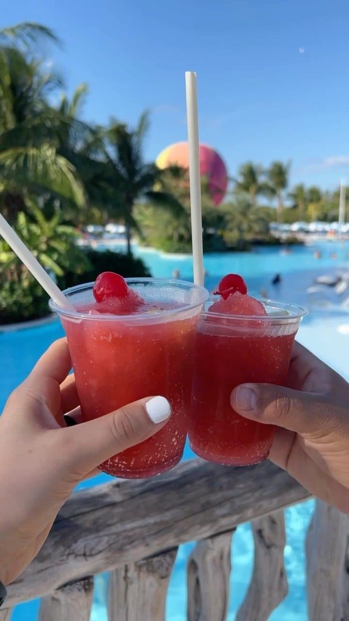 Post 8 by Melissa Paliwal on Instagram (video)