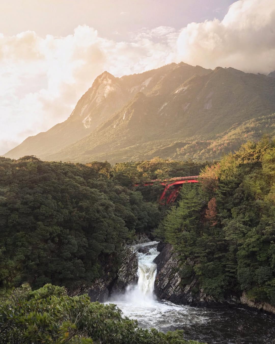 Post 2 by Maurice Li on Instagram (image)