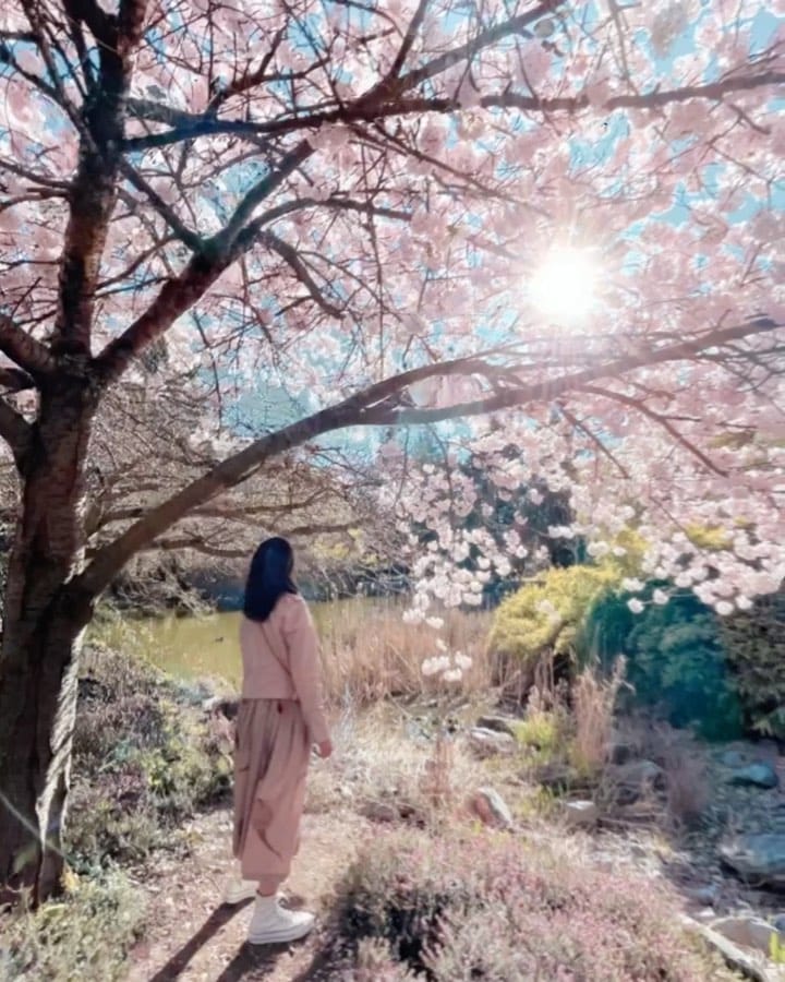 Post 4 by Maurice Li on Instagram (video)