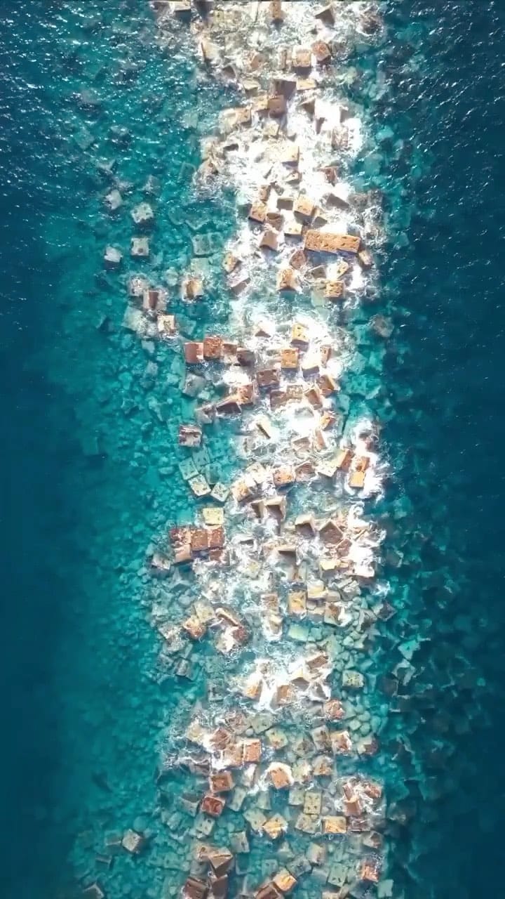 Post 8 by Maurice Li on Instagram (video)