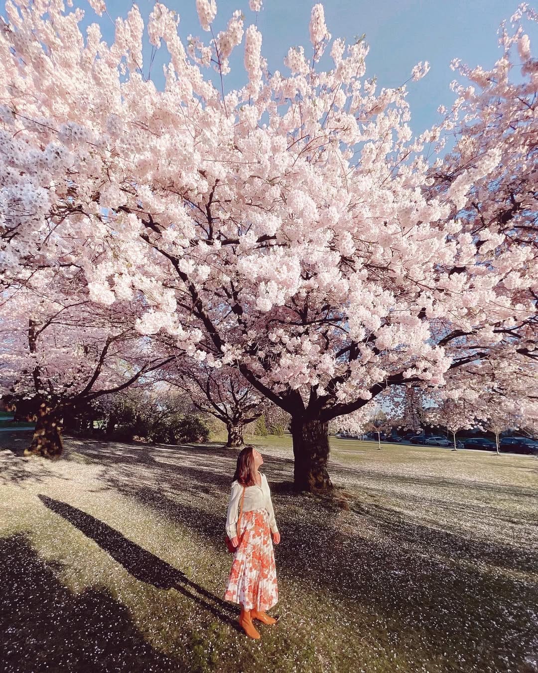 Post 5 by Maurice Li on Instagram (image)
