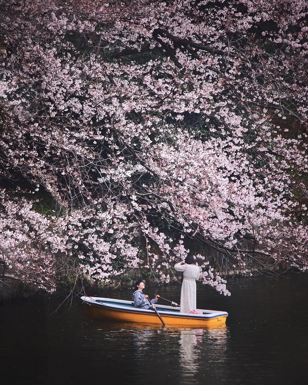 Post 9 by Maurice Li on Instagram (image)