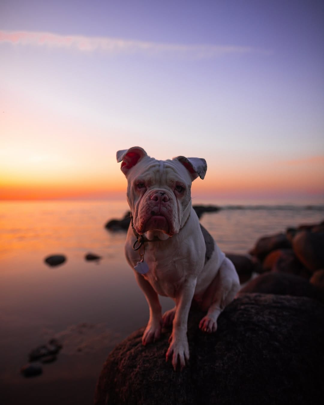 Post 7 by Babe & Cailean on Instagram (image)