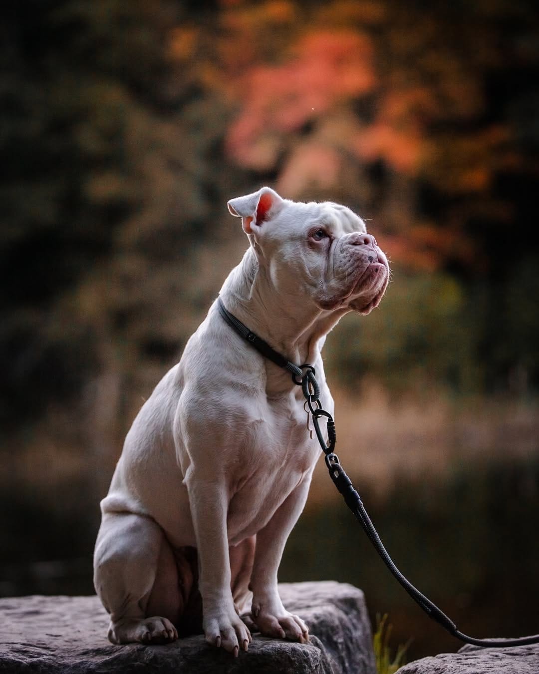 Post 6 by Babe & Cailean on Instagram (image)