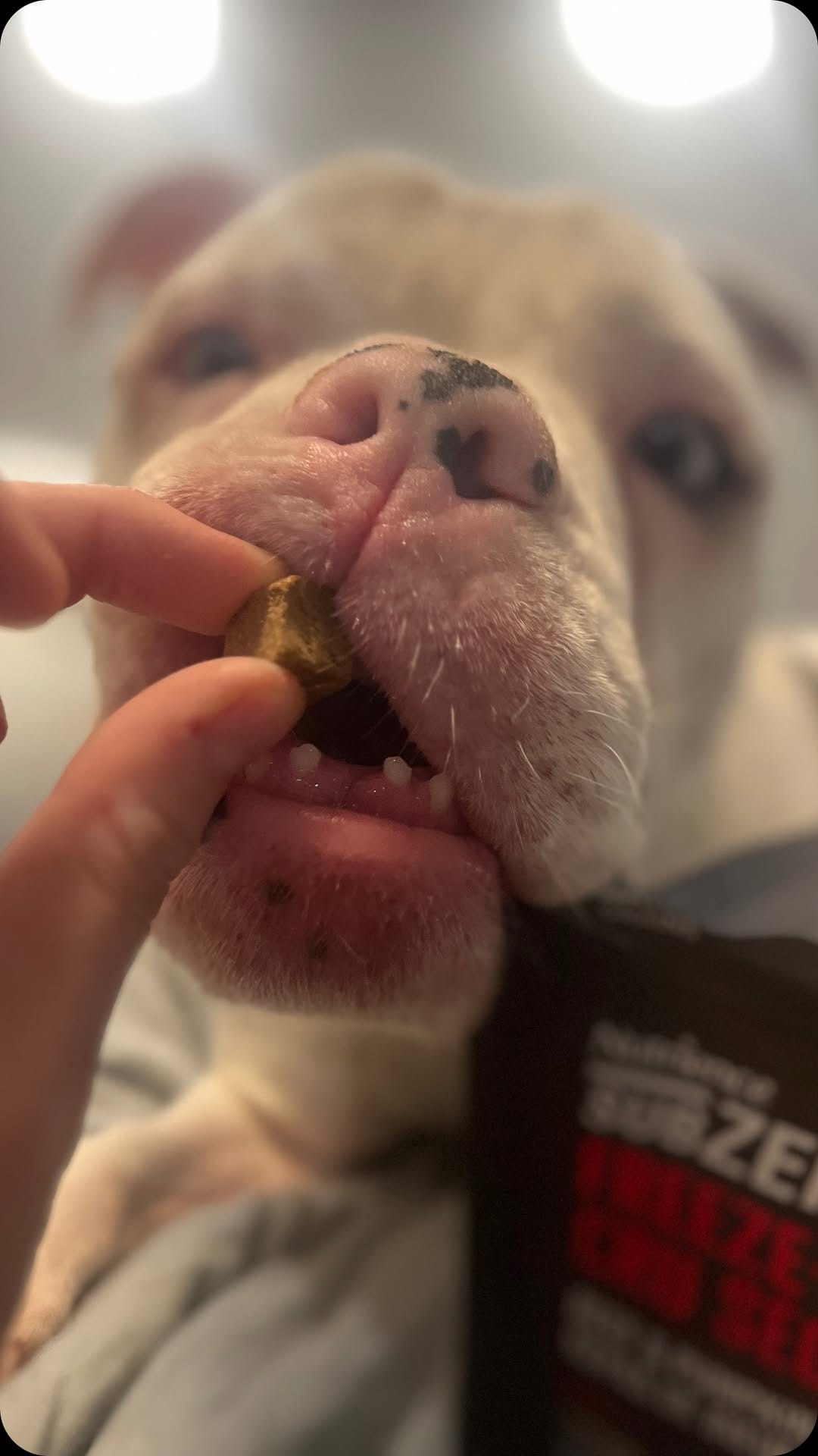 Post 2 by Babe & Cailean on Instagram (video)