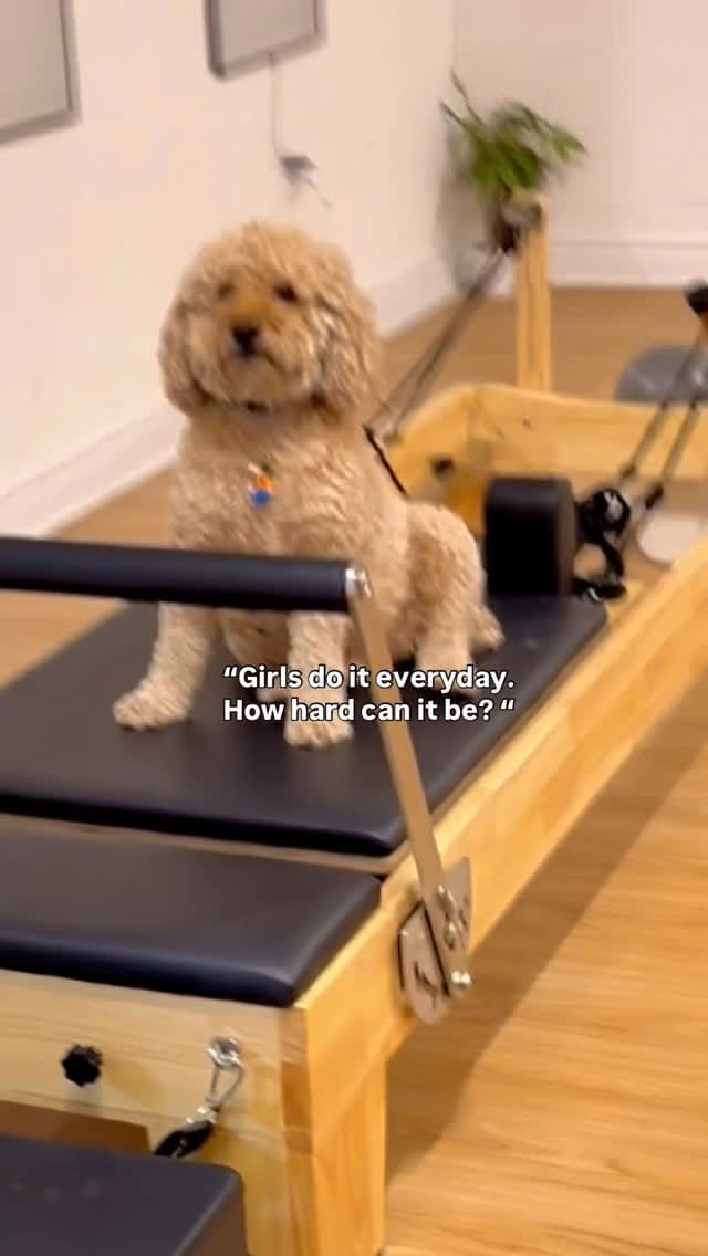 Post 3 by Raji 🇨🇦| Fitness Coach, CPT, PN1 on Instagram (video)