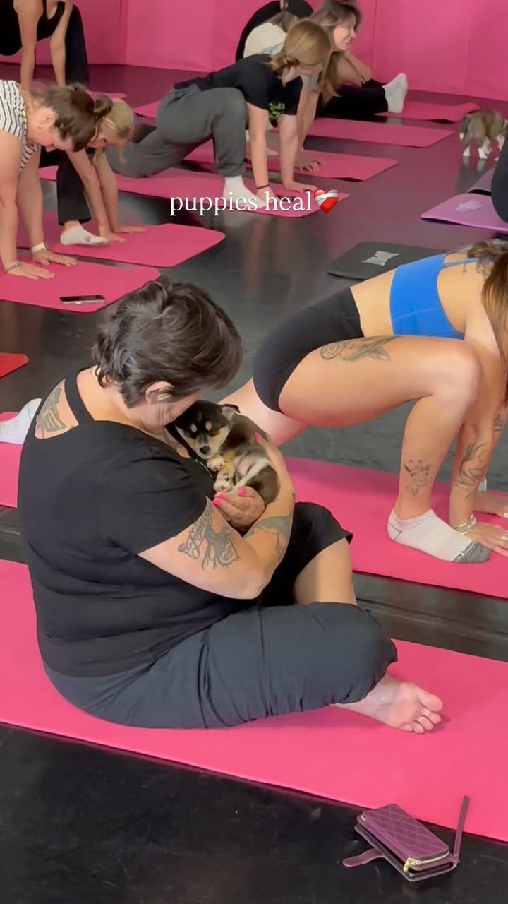 Post 8 by Puppy Yoga Barrie on Instagram (video)