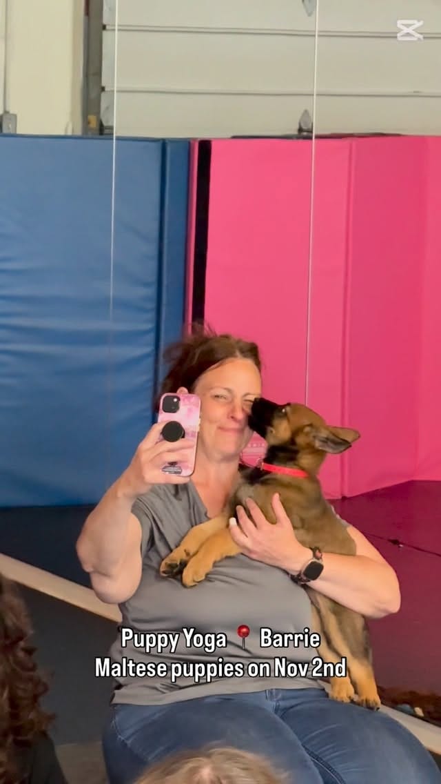 Post 7 by Puppy Yoga Barrie on Instagram (video)