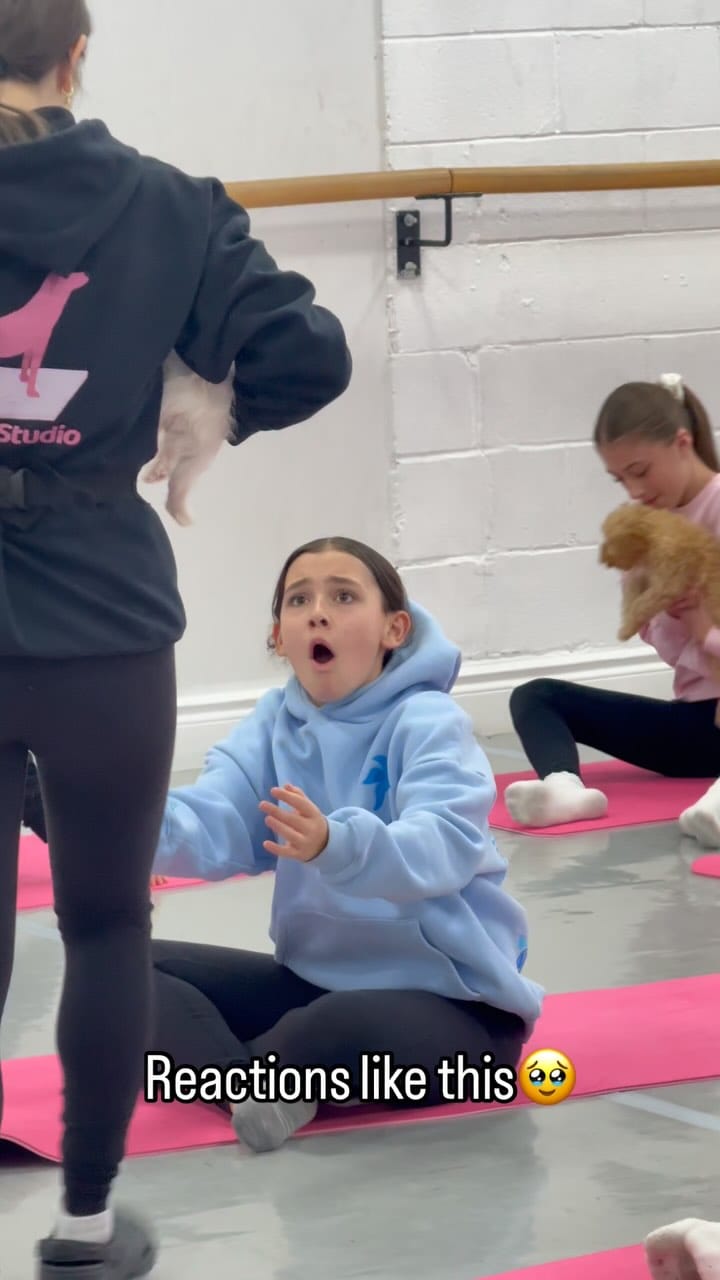 Post 9 by Puppy Yoga Barrie on Instagram (video)