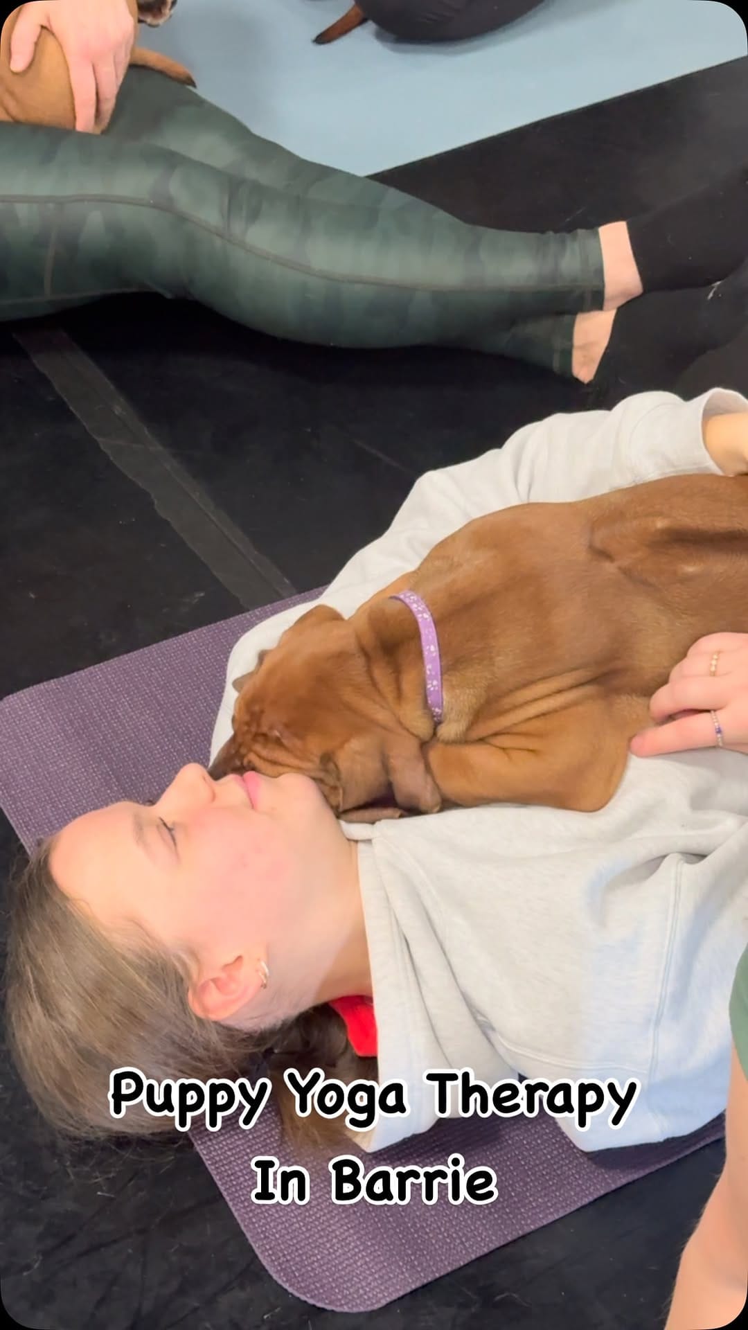 Post 10 by Puppy Yoga Barrie on Instagram (video)