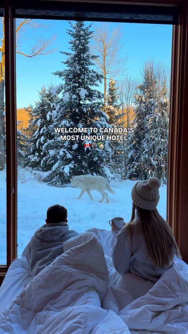 Post 3 by JAKE MCFADDEN & MARIE CARTER 🇨🇦 on Instagram (video)