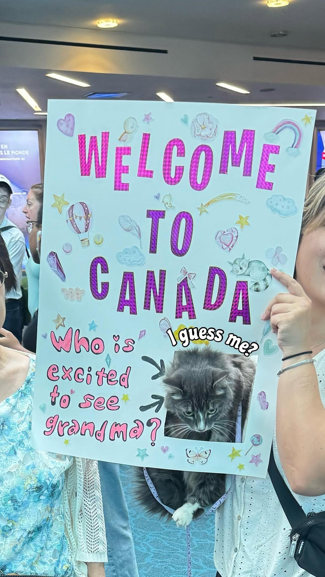 Post 9 by Adventure Cats | Tofino & Ponzu🐾 on Instagram (video)