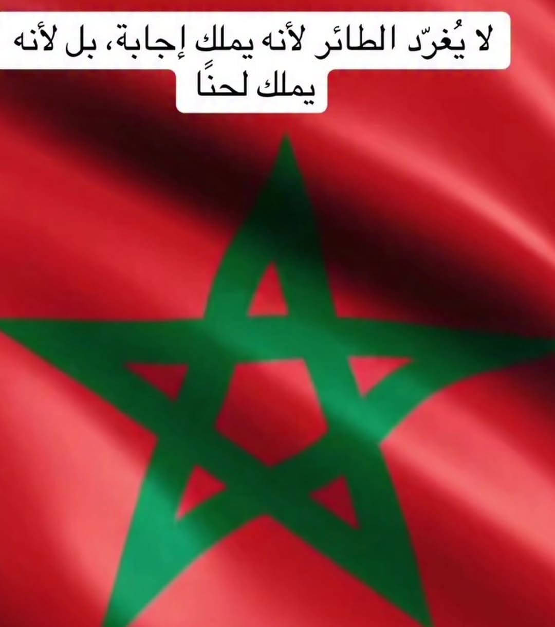 Post 6 by 𝗞𝗔𝗢𝗨𝗧𝗔𝗥🇨🇦❤️🇲🇦 on Instagram (image)