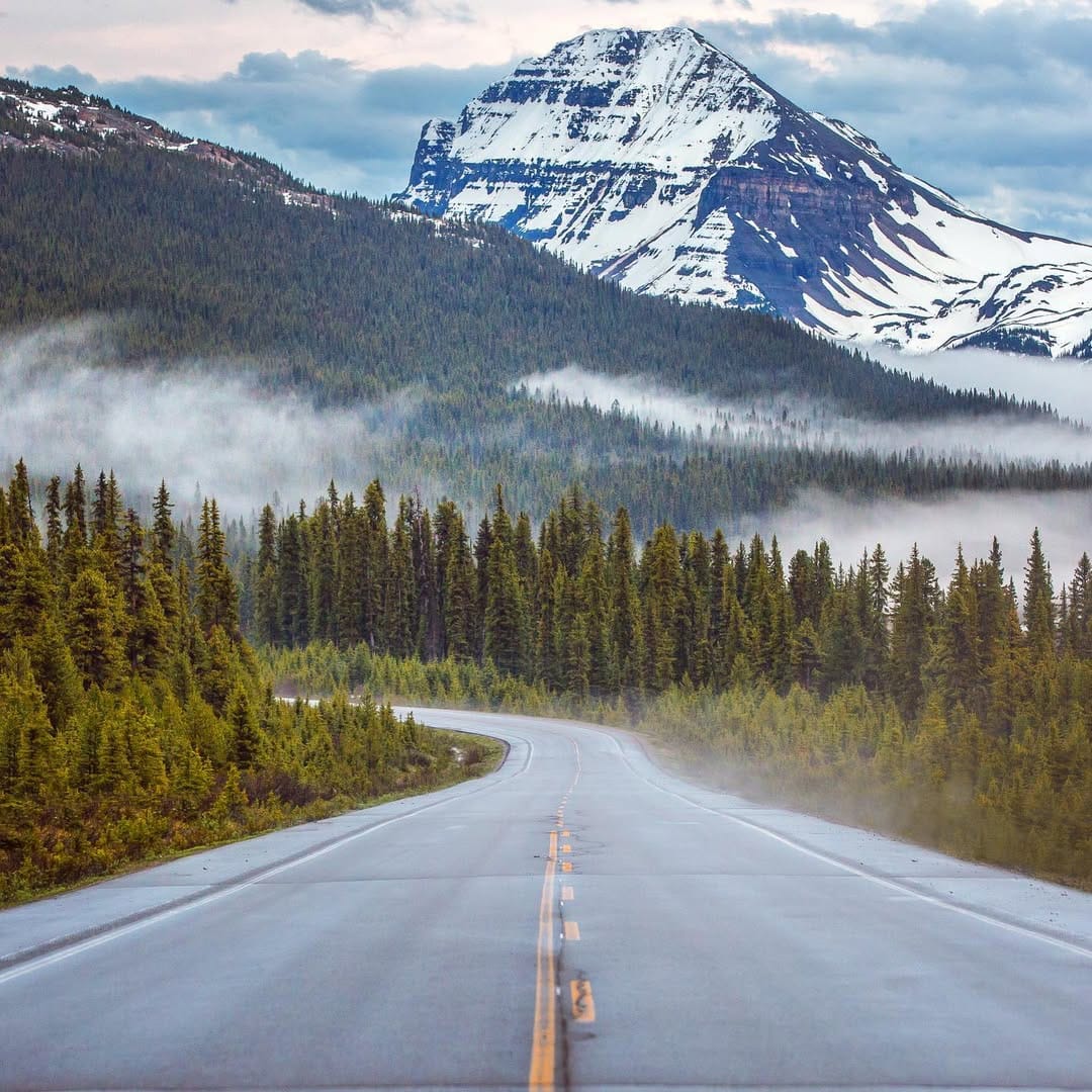 Post 1 by Amanda Richter on Instagram (image)