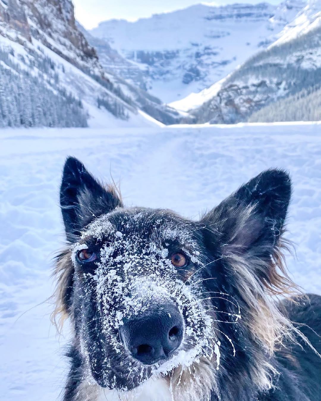 Post 8 by Amanda Richter on Instagram (image)