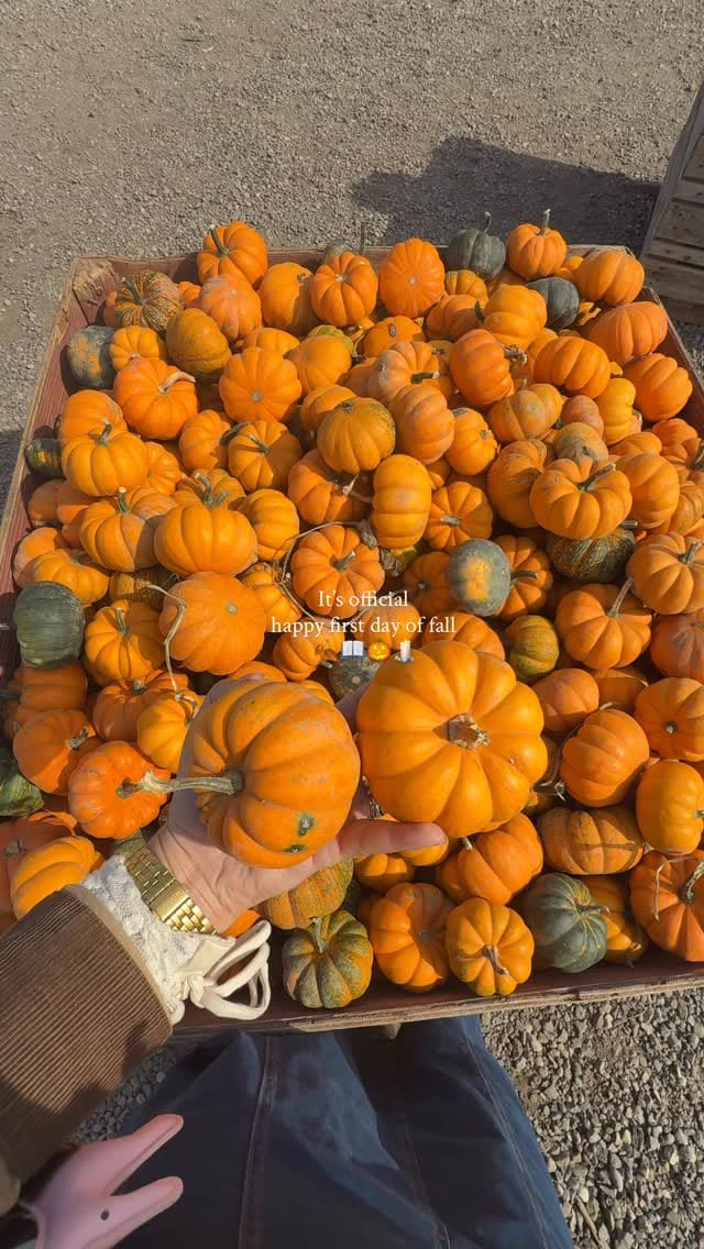 Post 5 by Nardine Moustafa on Instagram (video)