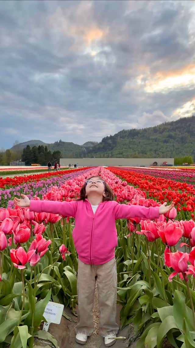 Post 3 by Rose Familystyle on Instagram (video)