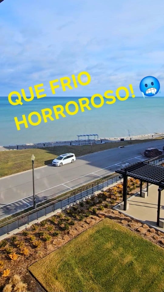 Post 5 by Paulo Mancha D'Amaro on Instagram (video)