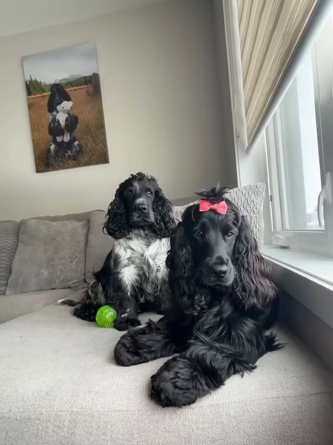 Post 2 by MILO AND EMBER | CANADIAN ADVENTURES on Instagram (image)