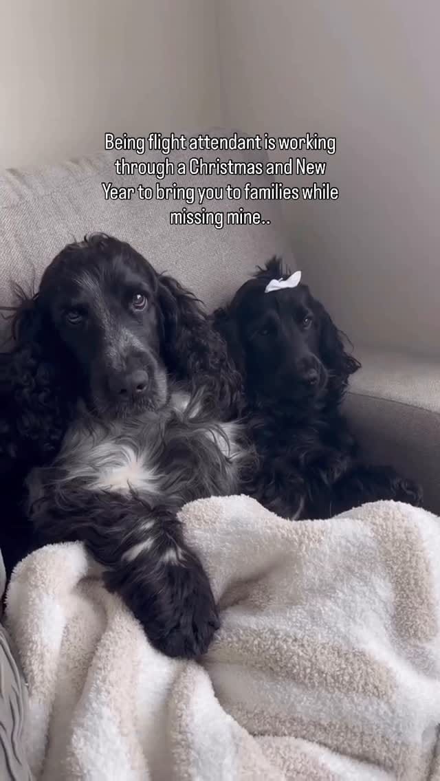 Post 5 by MILO AND EMBER | CANADIAN ADVENTURES on Instagram (video)