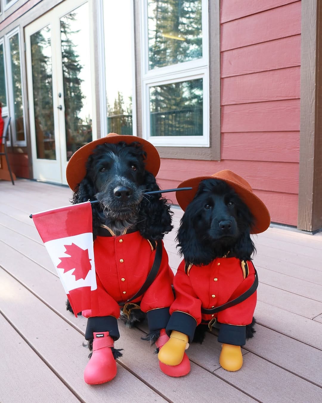 Post 8 by MILO AND EMBER | CANADIAN ADVENTURES on Instagram (carousel)