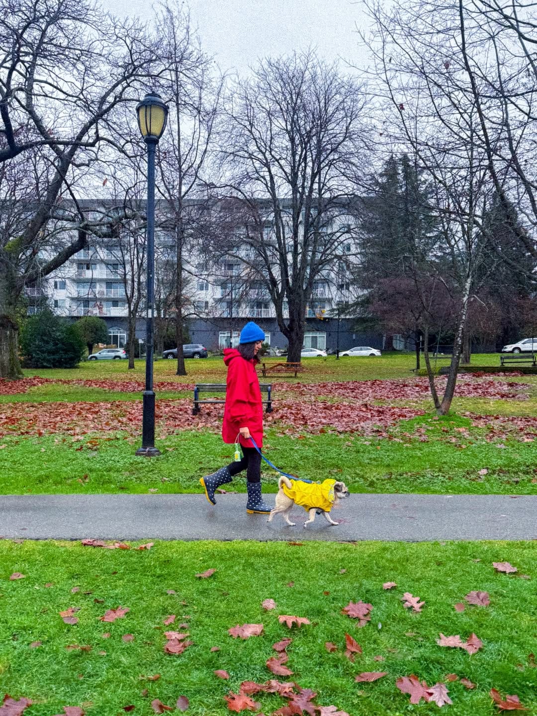 Post 1 by Nikoo Taheri on Instagram (carousel)