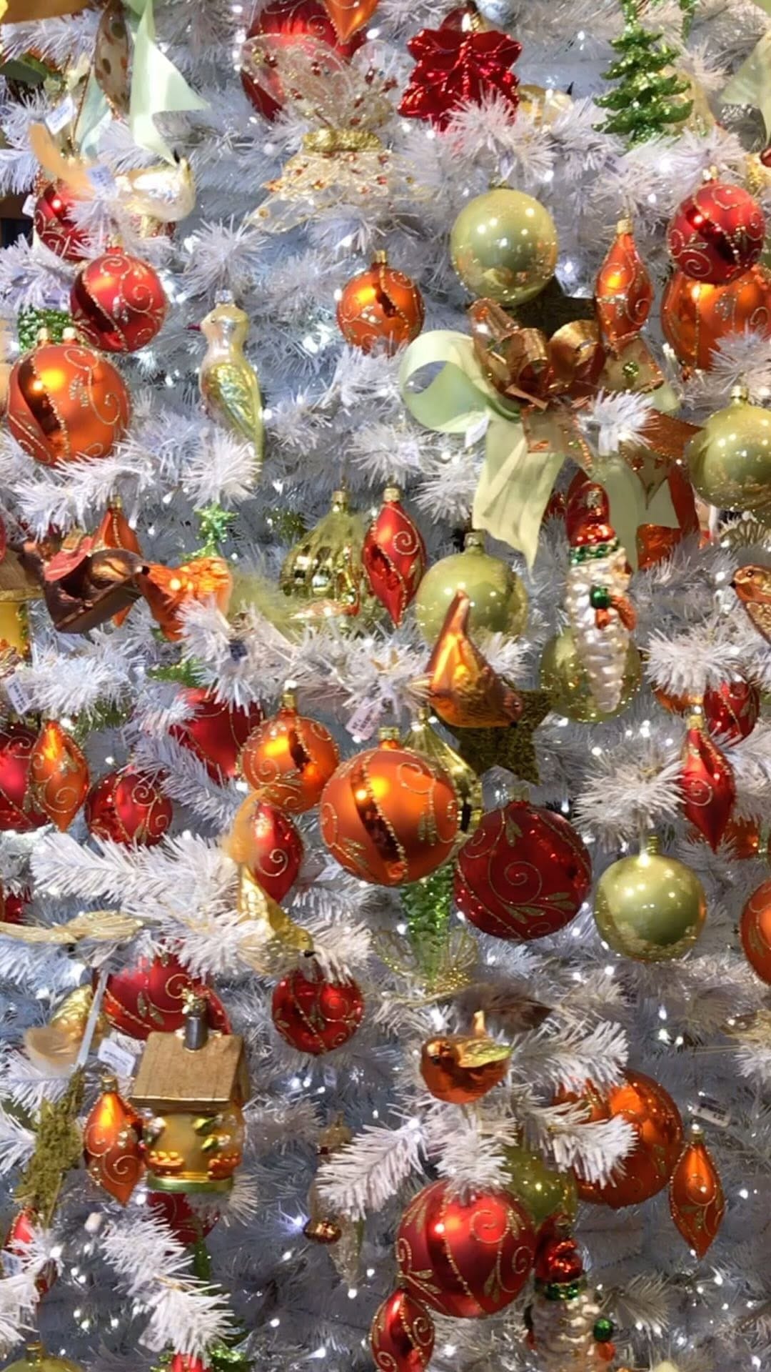 Post 7 by Demet Kızıltaş on Instagram (video)