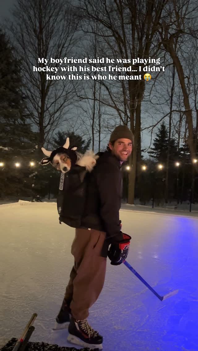 Post 3 by Sedona The Australian Shepherd | Toronto on Instagram (video)