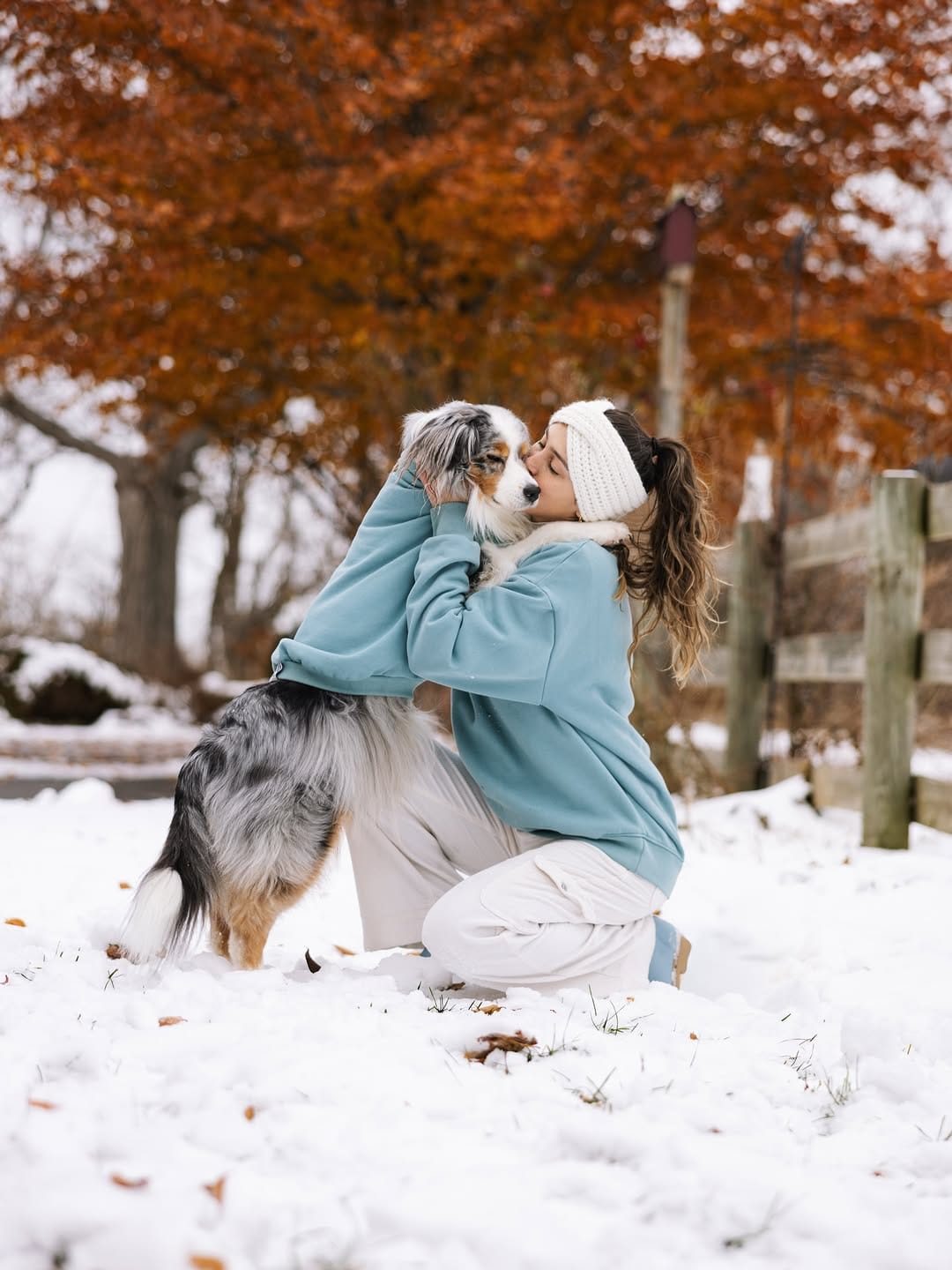 Post 6 by Sedona The Australian Shepherd | Toronto on Instagram (carousel)