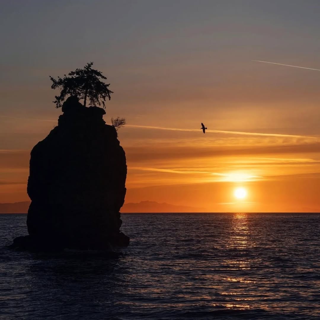 Post 6 by Vancouver 🇨🇦 on Instagram (image)
