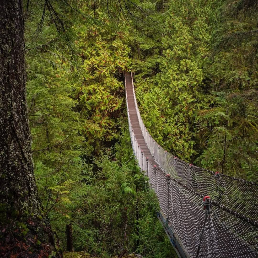 Post 4 by Vancouver 🇨🇦 on Instagram (image)