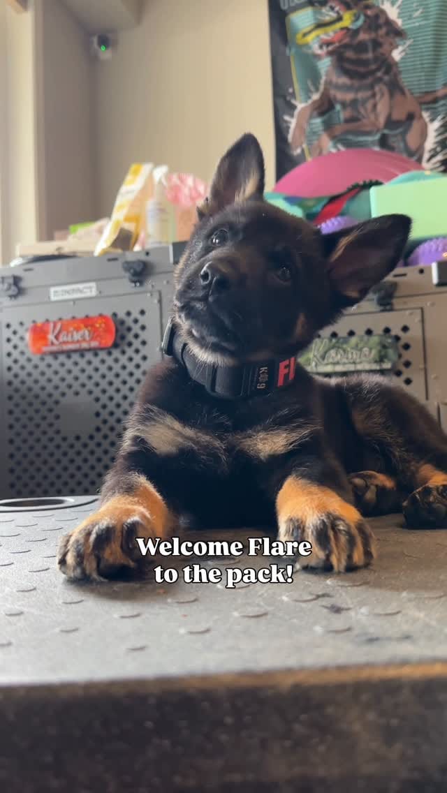 Post 3 by 𝐊𝐚𝐭𝐢𝐞 𝐌𝐢𝐜𝐡𝐚𝐢𝐥𝐮𝐜𝐤 on Instagram (video)
