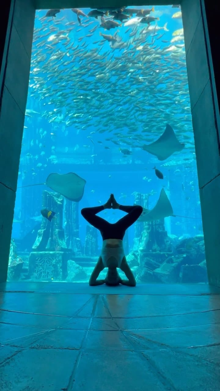 Post 9 by @flow_with_sofi on Instagram (video)
