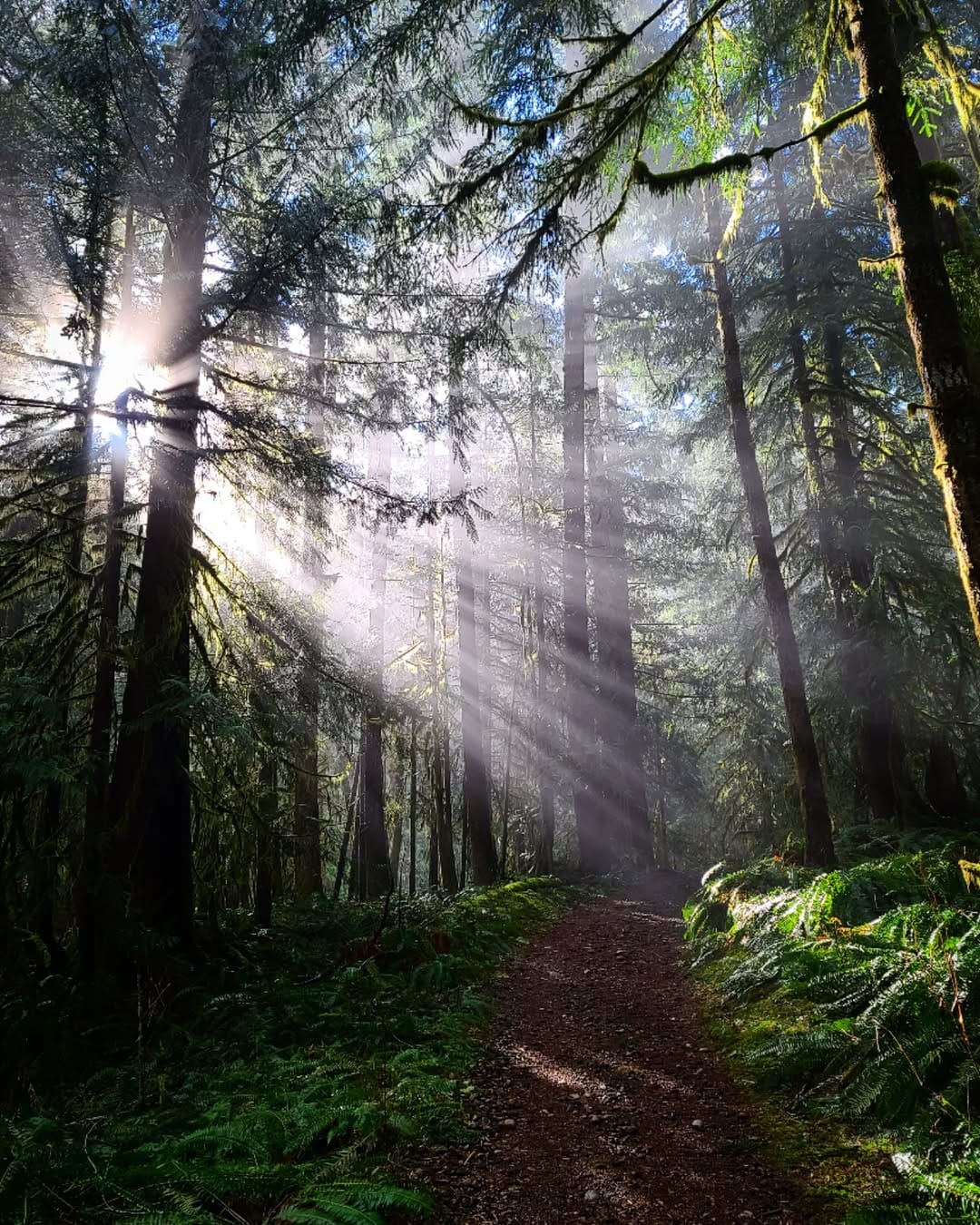 Post 9 by Julie Giesbrecht on Instagram (image)
